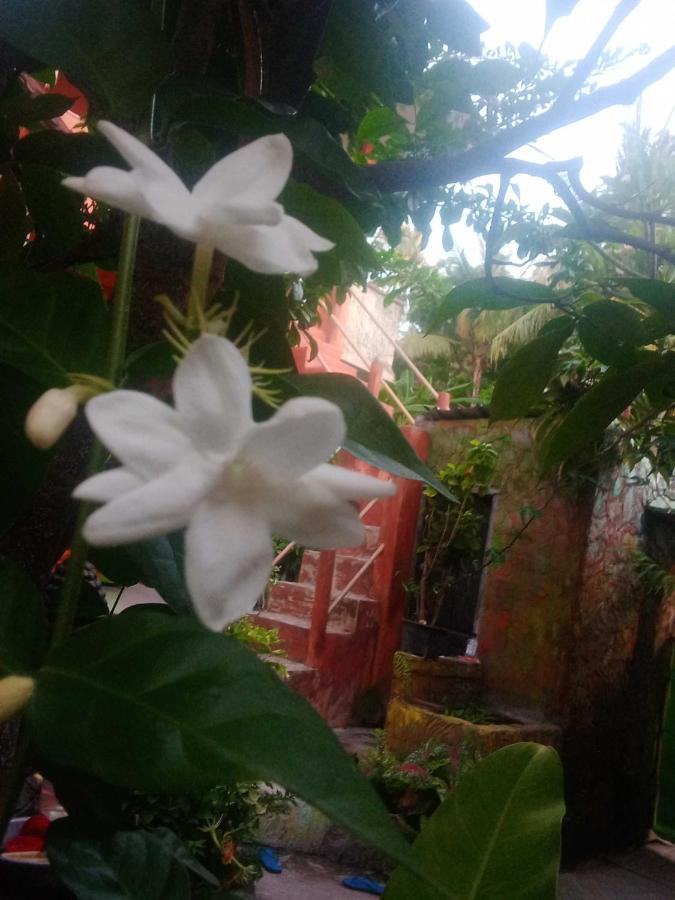 Pondok Diana Arta Jasri Exterior foto