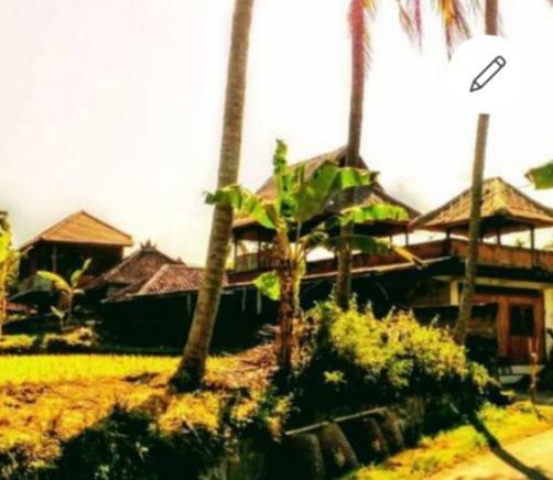 Pondok Diana Arta Jasri Exterior foto